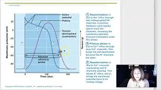 Week 7 Lecture 2 Cardiac muscle and ECG Basics