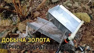 ЧЁРНОЕ СТАРАТЕЛЬСТВО ДОБЫЧА ЗОЛОТА