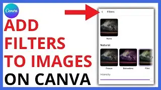 How to Add Filters to an Image on Canva [QUICK GUIDE]