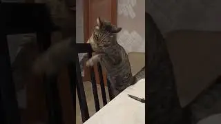 Василий