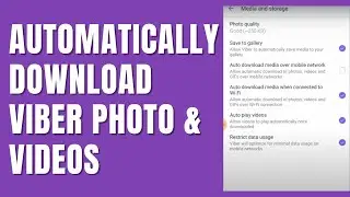 How To Download Video/Photo From Viber Messages