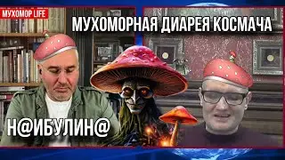 ВОЙНА ЕЩЕ 2 ГОДА? Фейгин в шоке! ДВА ВЕДРА КОК$А.