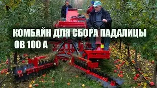 Комбайн для сбора падалицы яблок в саду