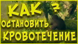 КАК ОСТАНОВИТЬ КРОВОТЕЧЕНИЕ --- Ancestors: The Humankind Odyssey --- ГАЙД #4