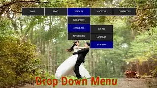 How To Make Drop Down Menu Using HTML And CSS | HTML Website Tutorials