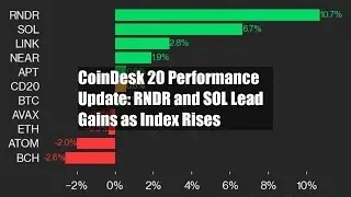 CoinDesk 20 Performance Update: RNDR and SOL Lead Gains as Index Rises