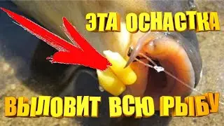 БРАГА на карпа + ПРАВИЛЬНАЯ волосяная оснастка которая реально ловит карпа и амура.