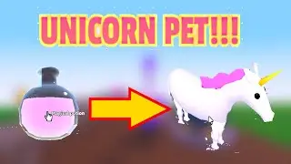 HOW TO GET THE UNICORN PET!! Roblox Wacky Wizards