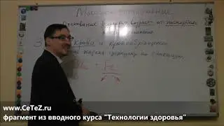 Как Бороться с Анемией и Хроническим Синдромом Усталости. из вводного курса 