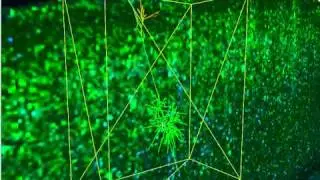 Whole Brain Catalog simulating Mainen-Sejnowski model of a neuron