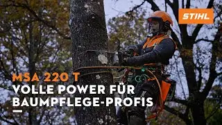 STIHL | AP System | Akku-Kettensäge MSA 220 T