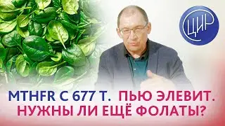 MTHFR c677t. Пью Элевит, планирую беременность. Нужны ли дополнительные фолаты? Отвечает Гузов И.И.