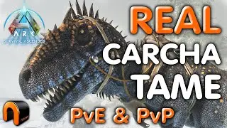 ARK Carcharodontosaurus TAMING For REAL! No Cryopods, No Spawned In Dinos Ark Survival Ascended