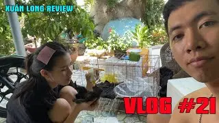 Review of milk bottles for kittens #Vlog 21 - Xuân Long Review | cho mèo con uống sữa