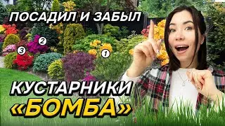 💥10 кустарников которым ВООБЩЕ НЕ нужен уход