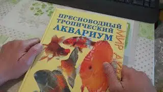 Для новичков, первый аквариум!