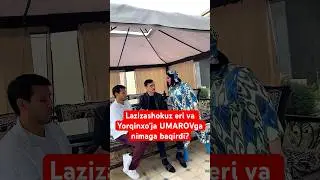 Lazizashokuz to’palon qildi… #youtube #cat #love #newvideo #film #shoubiznes #2023 #shokuz #wedding