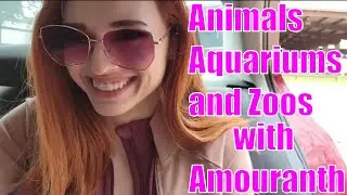 Amouranth Explains Reverse Cowgirl to Jinnytty