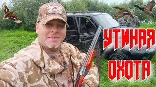 Дорога в охотничьи угодья простой способ найти утку #ru_kompass #охота #hunting #утка