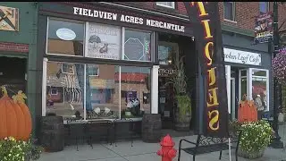 Newton Falls business owner brings new life to old alleyway