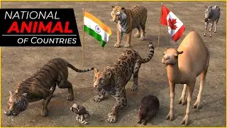 National Animal of all countries | Flags with National Animals