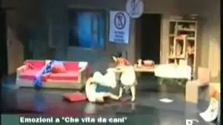 Che vita da Cani!!! al Tg di BgTV
