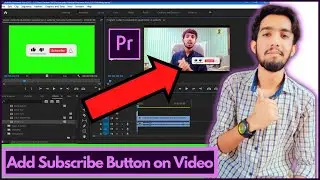 How to Add Subscribe Animation Button on Video In Adobe Premiere Pro