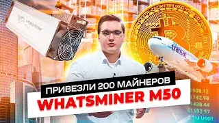 Привезли майнеры на 33 000 000 рублей. Майнинг на 200 асиках Whatsminer m50 118th!