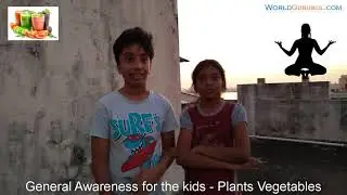 General Awareness for the kids on Plants and Vegetables