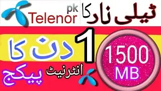 Telenor 1 Day Internet Package 2024 |سستا پیکج | By MissHow