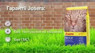 Josera DailyCat (Йозера ДейлиКет) сухой корм беззерновой для взрослых кошек с домашней птицей