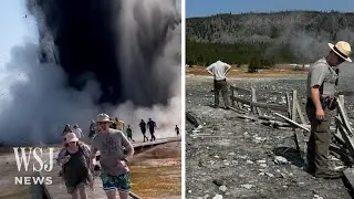 Watch: Tourists Run From Hydrothermal Explosion in Yellowstone | WSJ News