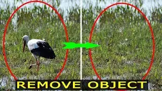 Remove Extra Object from Images by Patch Tool in Photoshop CC