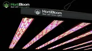 Hortibloom Mega Optic 800W LED grow light review