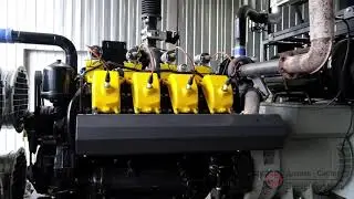 Газопоршневая электростанция ГПЭС 200 кВт, двигатель ТМЗ-8481, Дизель-Систем, 8-903-646-88-98