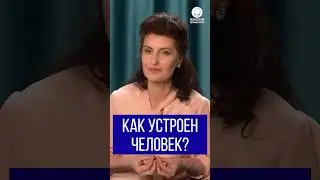 Как устроен человек?