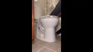 How to pull a toilet