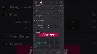Create PRO Audio in DAVINCI RESOLVE in less than a Minute