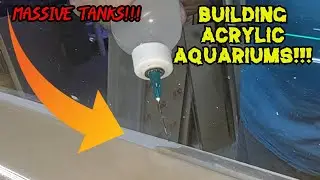 HOW to GLUE ACRYLIC AQUARIUMS // AQUARIUM MANUFACTURE // PART 2