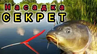 Насадка СЕКРЕТ для Рыбалки 2024! Сделай пир Карасю,Плотве и Карпу!!!