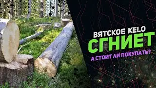 Вятское КЕЛО - Можно ли строить из нашего сухостоя? # Баня из KELO -  Простоит 100 лет!