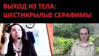 Выход из тела Шестикрылые Серафимы № 5385