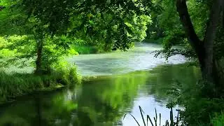 Звуки природы  для сердца и сосудов. Исцеление Музыкой.