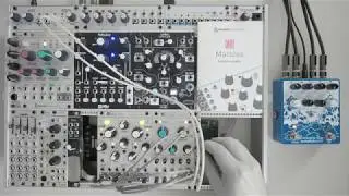 mutable instruments marbles | rhythmic hocket w/ rings and 2hp pluck