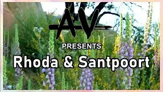 New Artist Spotlight ft. santpoort & rhoda 🔥 | Music Discovery Mix ✨