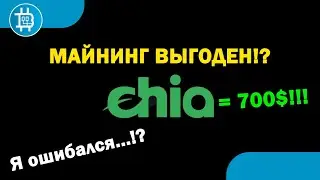 Я ОШИБАЛСЯ!? МАЙНИНГ CHIA - ВЫГОДЕН!? 700$ ЗА МОНЕТУ!!! ОКУПАЕМОСТЬ 1 МЕСЯЦ!!!? Или нет?