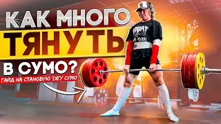 ГАЙД НА СТАНОВУЮ ТЯГУ СУМО / КАК ТЯНУТЬ МНОГО В СУМО?