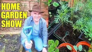 Kitchen garden at home ideas - Growing vegetables in a greenhouse and renovating neglected garden