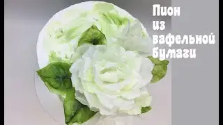 Пион из вафельной бумаги_How to make a waffle paper peony_Como fazer um pion de papel waffle