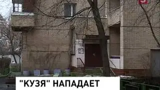Бог Кузя снова в центре скандала (25.12.2013)